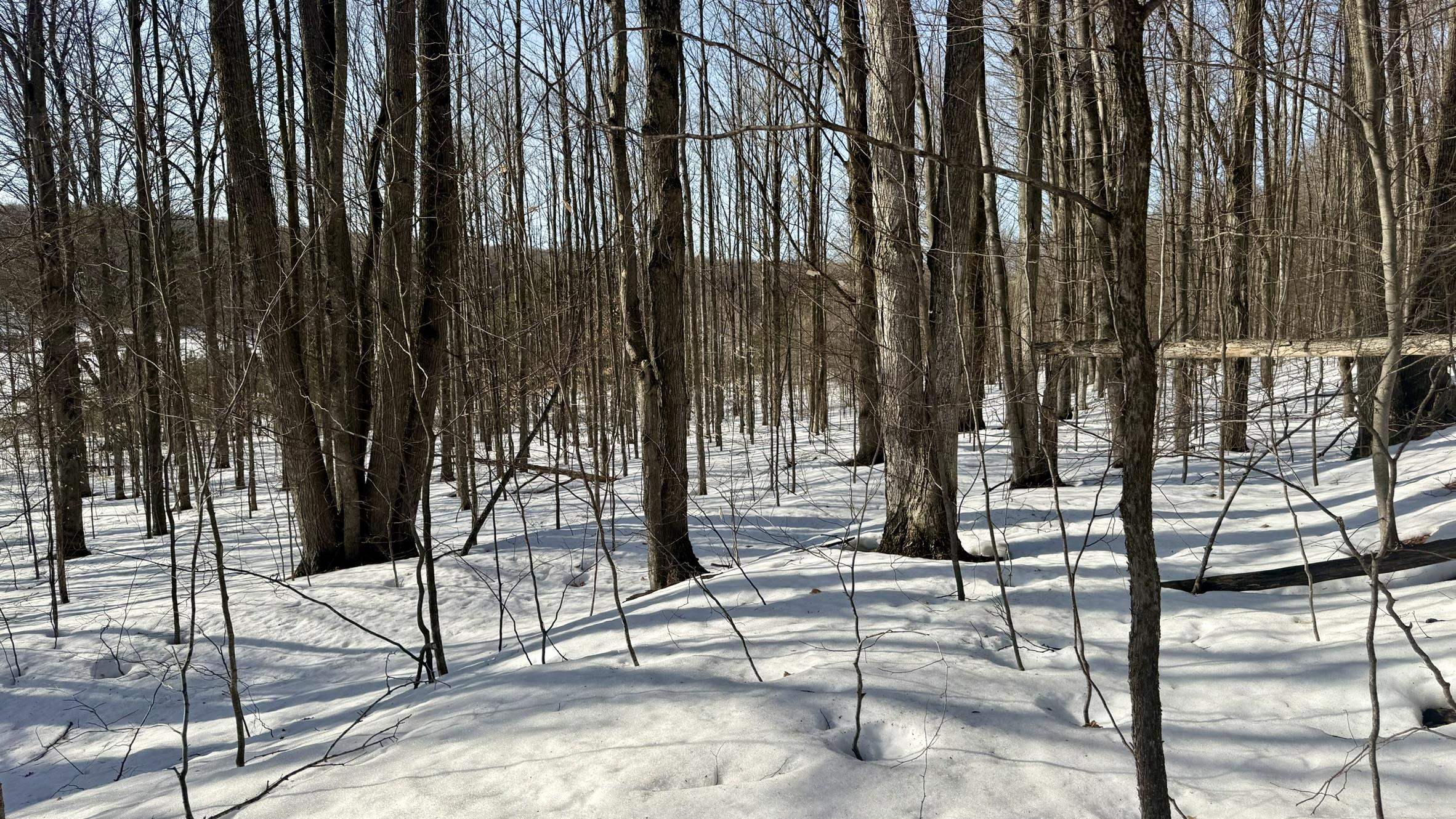 Lot 202 Clearview Drive