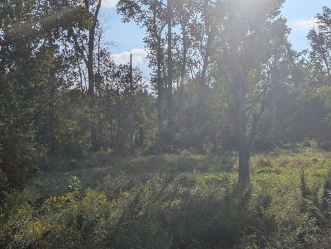 N/A Andrews Road Whitney Township MI 48763