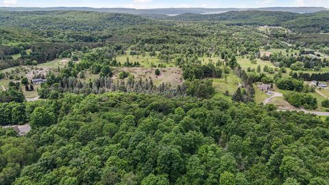 V/L S Coleman Road Kasson Township MI 49664