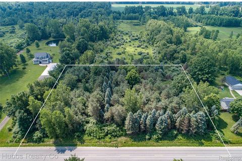 9361 Birch Run Rd Arbela Township MI 48746