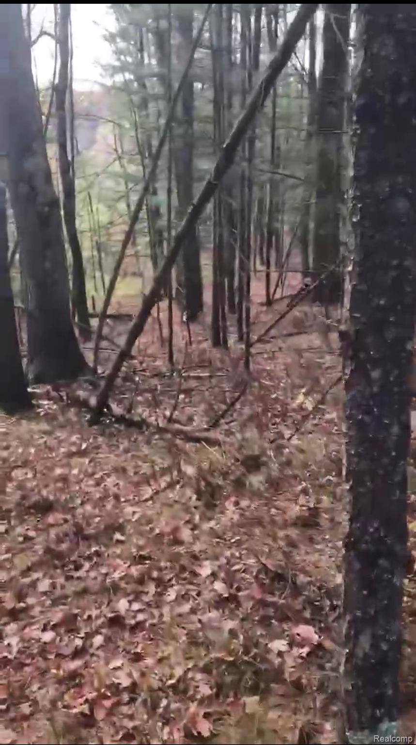 5885 S Shallow Drive