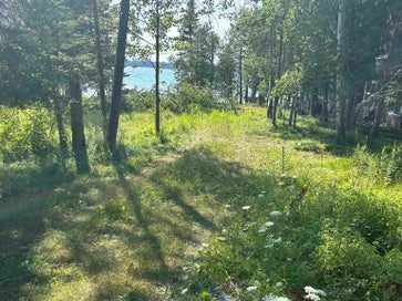 Lots 5 & 20 Wak Wing Drive Central Lake Township MI 49622