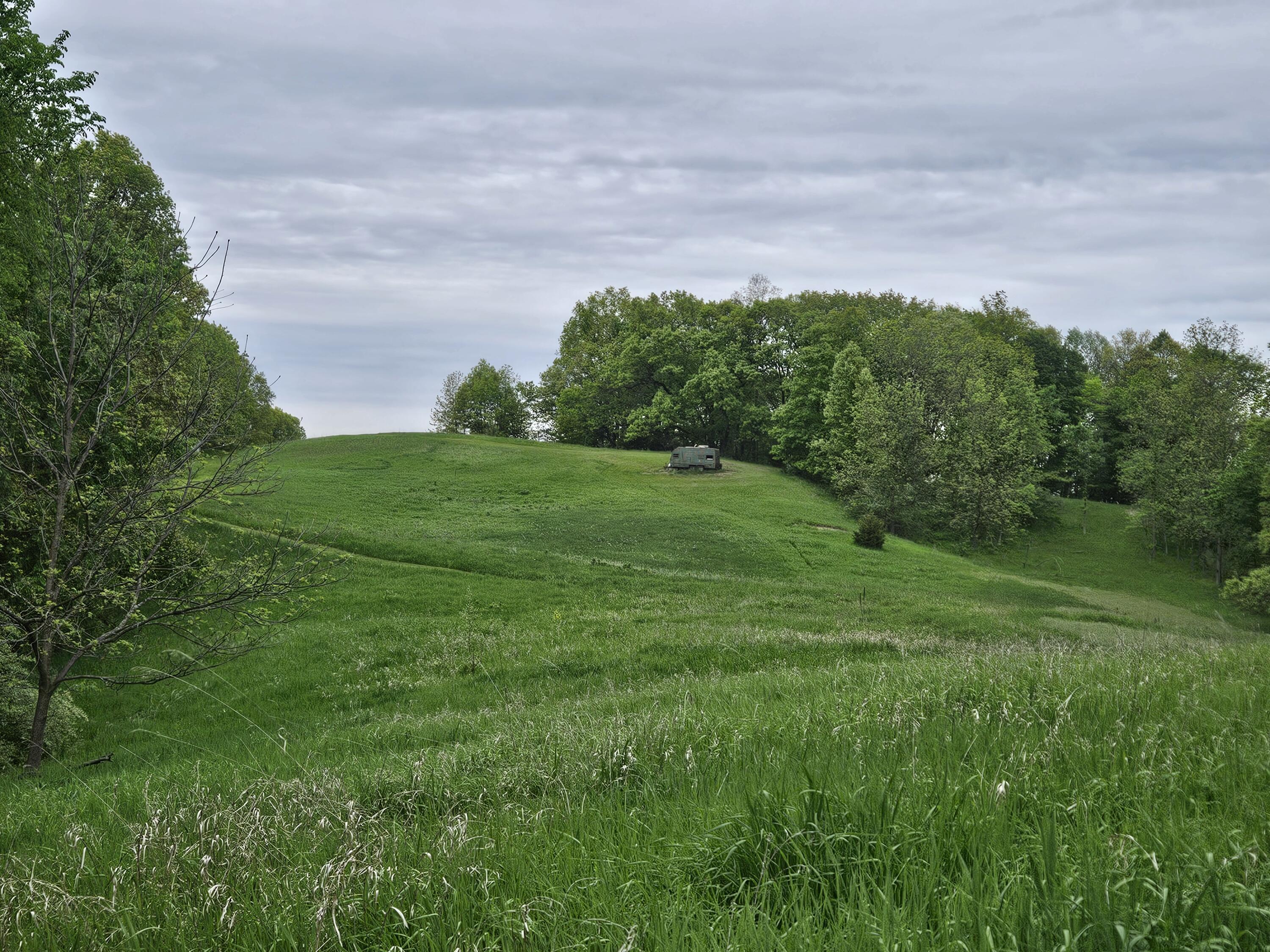 12451 Scio Church Road