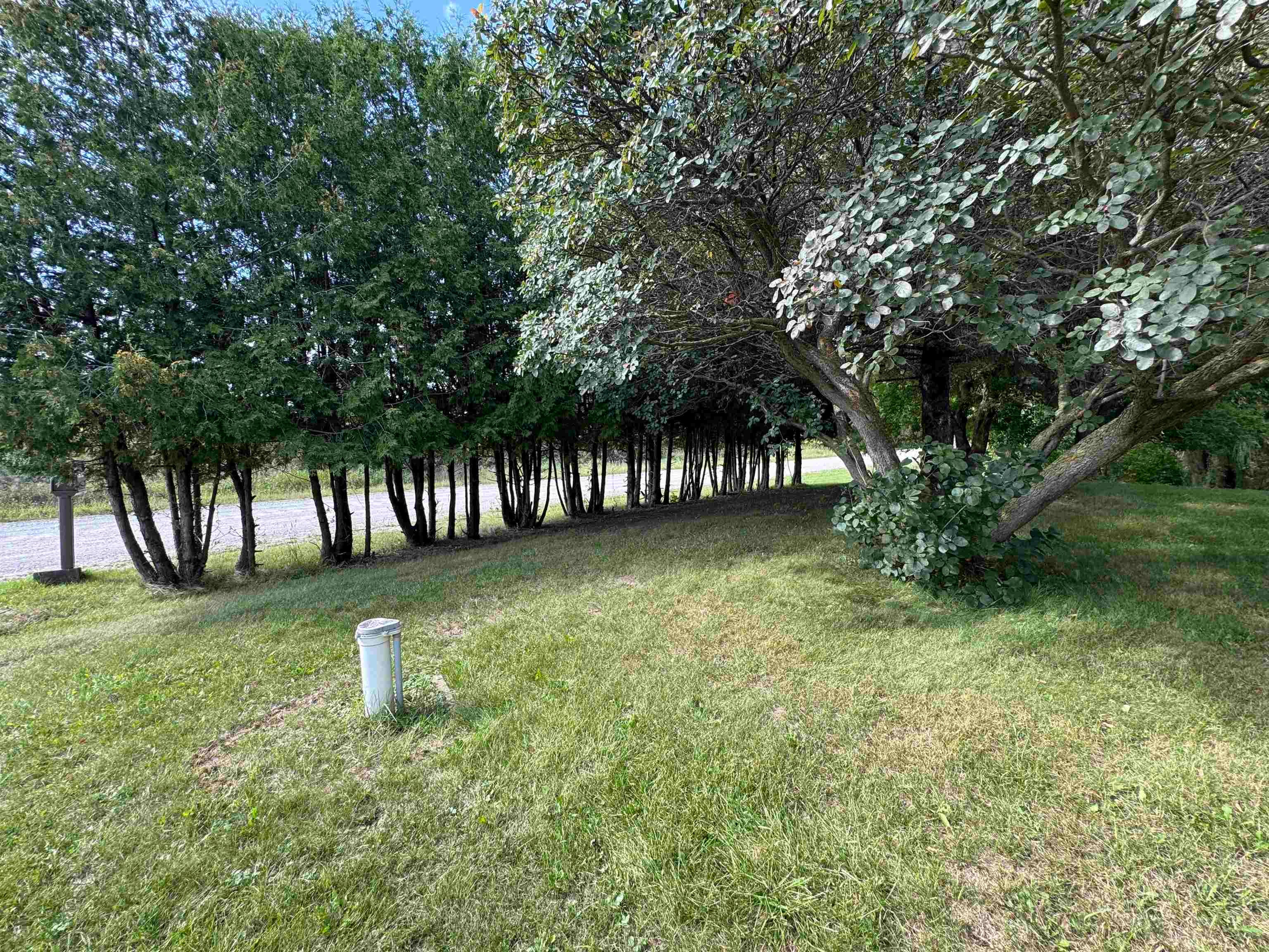 930 Reed Road