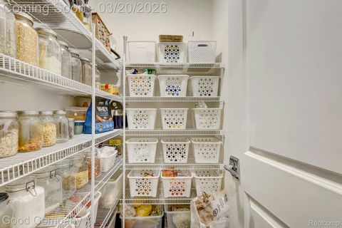 Tiny photo for 53217 Bay Laurel Lane, Lyon Charter Township, MI 48178 (MLS # 20261015716)