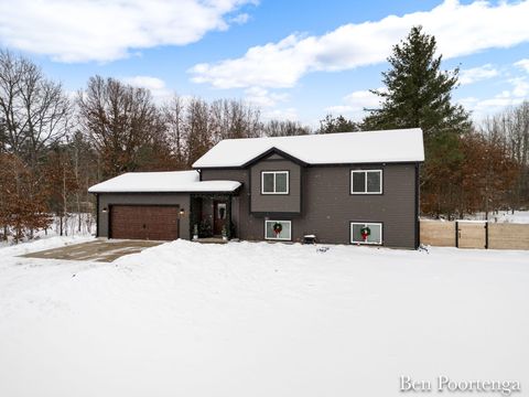 11809 Crimson Creek Drive Montcalm Township MI 49326