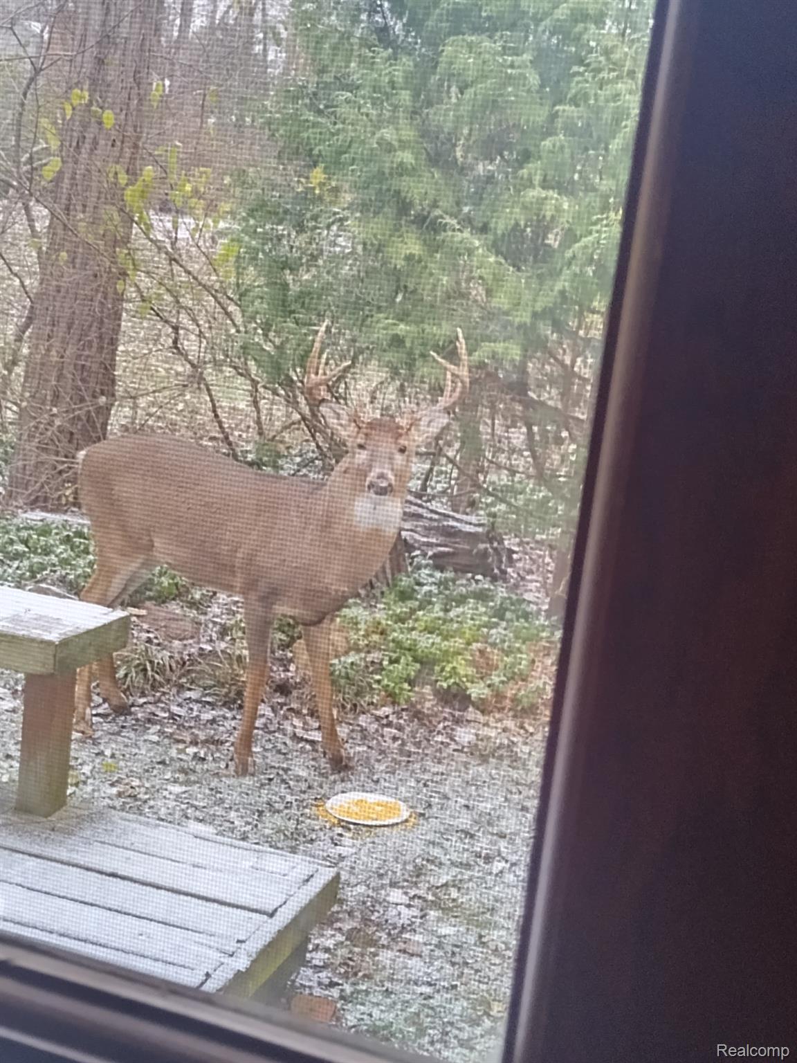 25690 W 14 MILE Road