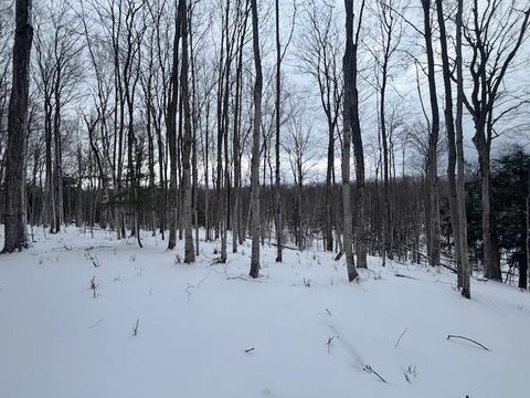 00 Kilkenny Lane Banks Township MI 49729