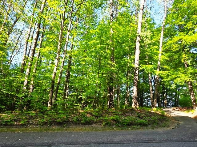 2 Forest Trail