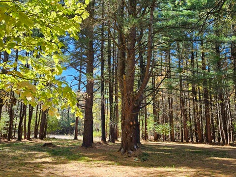 Tiny photo for 2428 W Chippewa River Road, Lee Township, MI 48640 (MLS # 5050225439)