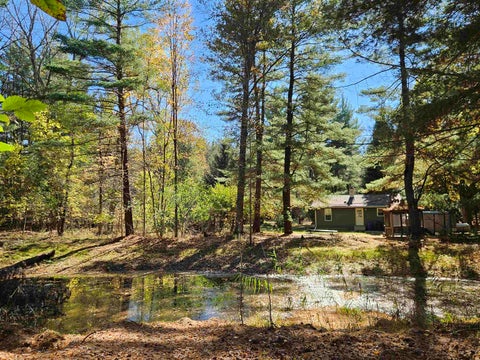 Tiny photo for 2428 W Chippewa River Road, Lee Township, MI 48640 (MLS # 5050225439)