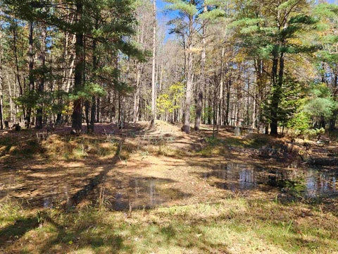Tiny photo for 2428 W Chippewa River Road, Lee Township, MI 48640 (MLS # 5050225439)