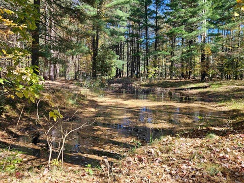 Tiny photo for 2428 W Chippewa River Road, Lee Township, MI 48640 (MLS # 5050225439)