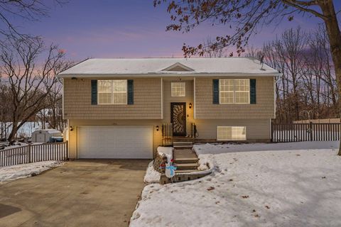 11754 E Drive N Emmett Charter Township MI 49033