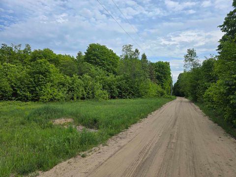 000 N Fawn Lane Mancelona Township MI 49659