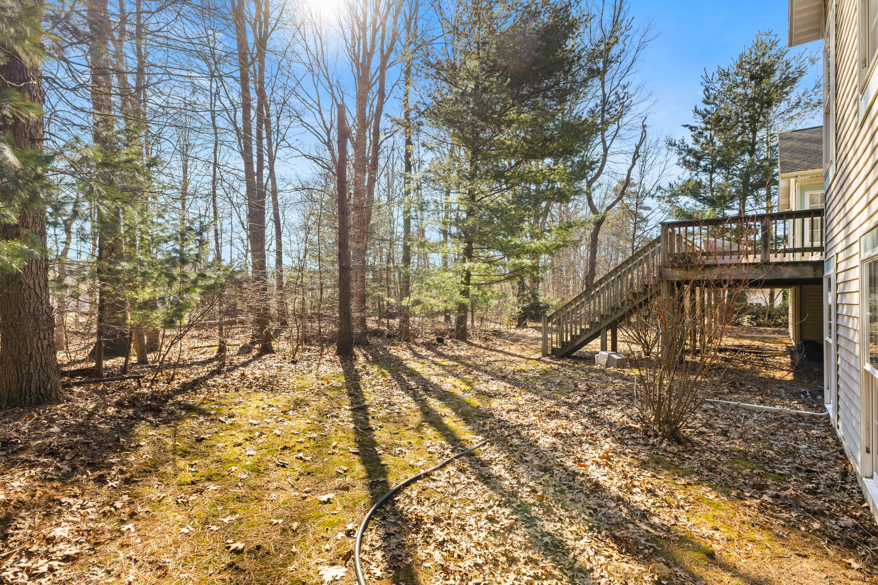 3317 Danglwood Court