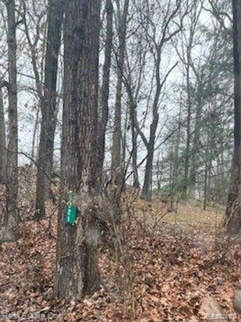 0000 Jendean Lane Oakland Charter Township MI 48306