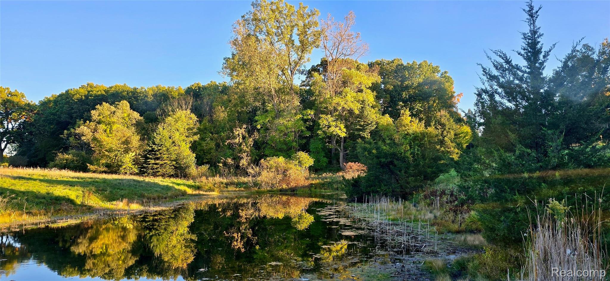 3412 Patterson Lake Road
