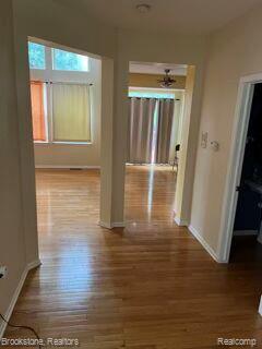 33540 Birchlawn