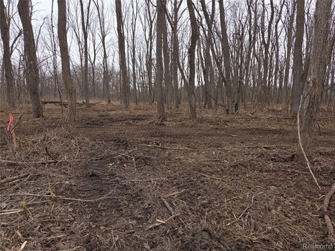 parcel C cullen rd cullen Road Hartland Township MI 48353