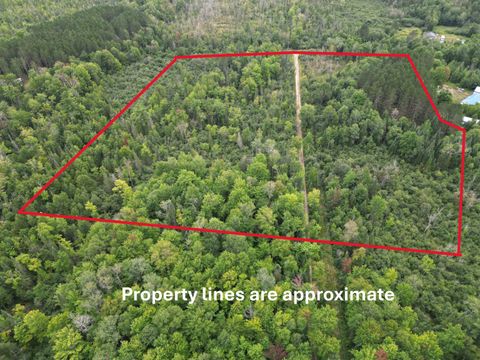 10.11 Acres Golden Road, SE Orange Township MI 49646