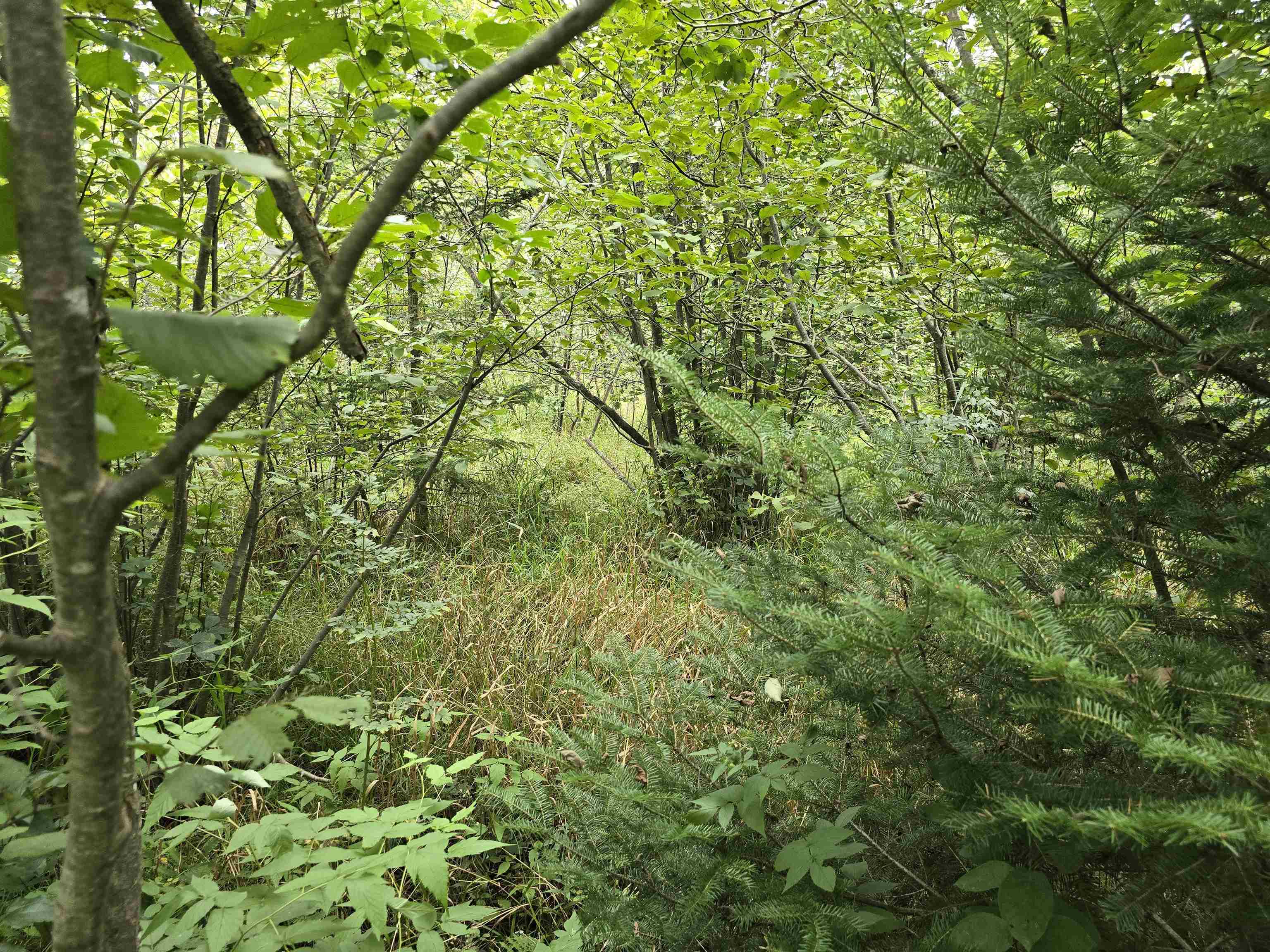 10.11 Acres Golden Road, SE