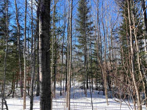 00 W Miller Road Elmer Township MI 49647