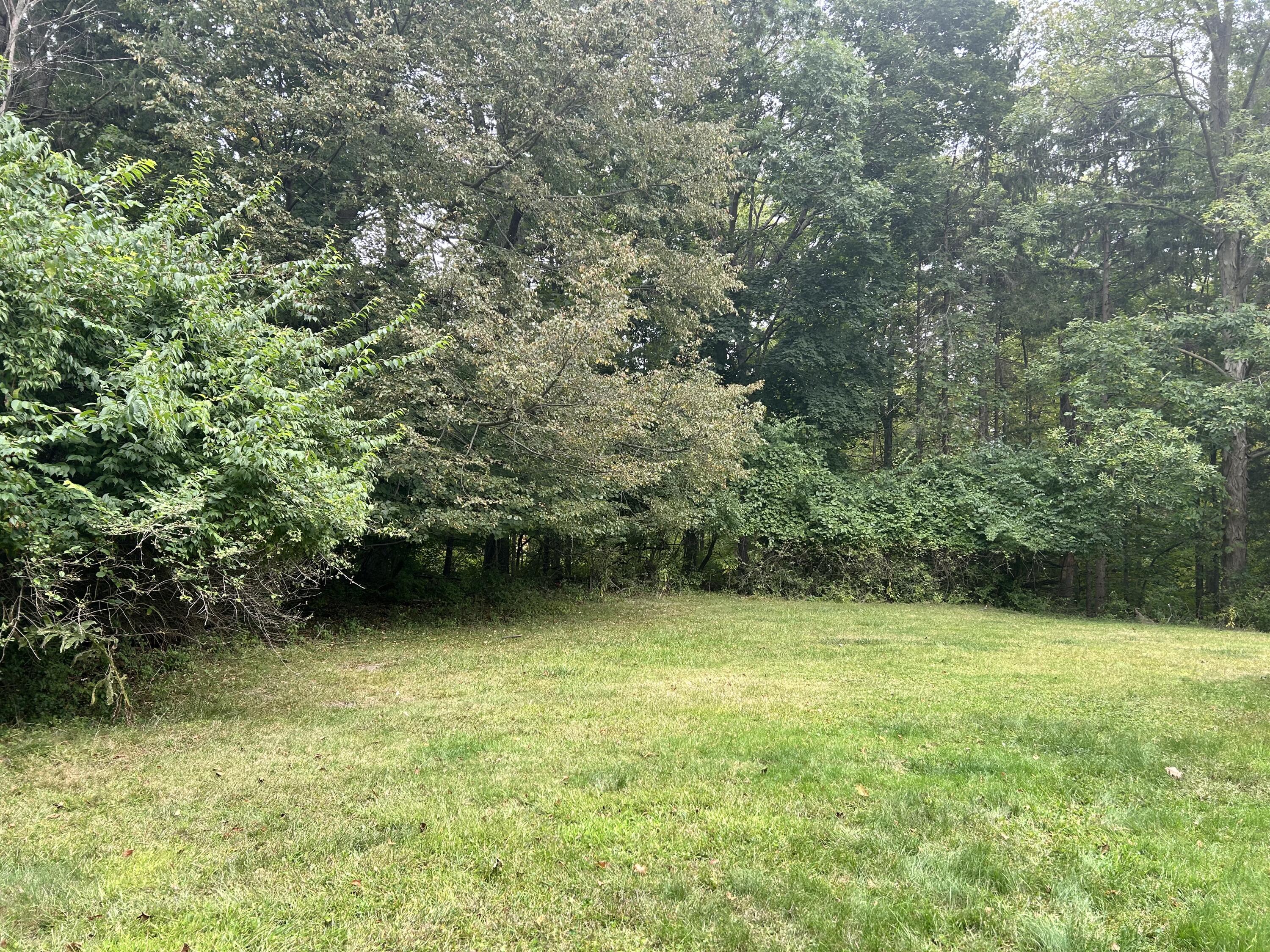 22900 Thorncliffe Street