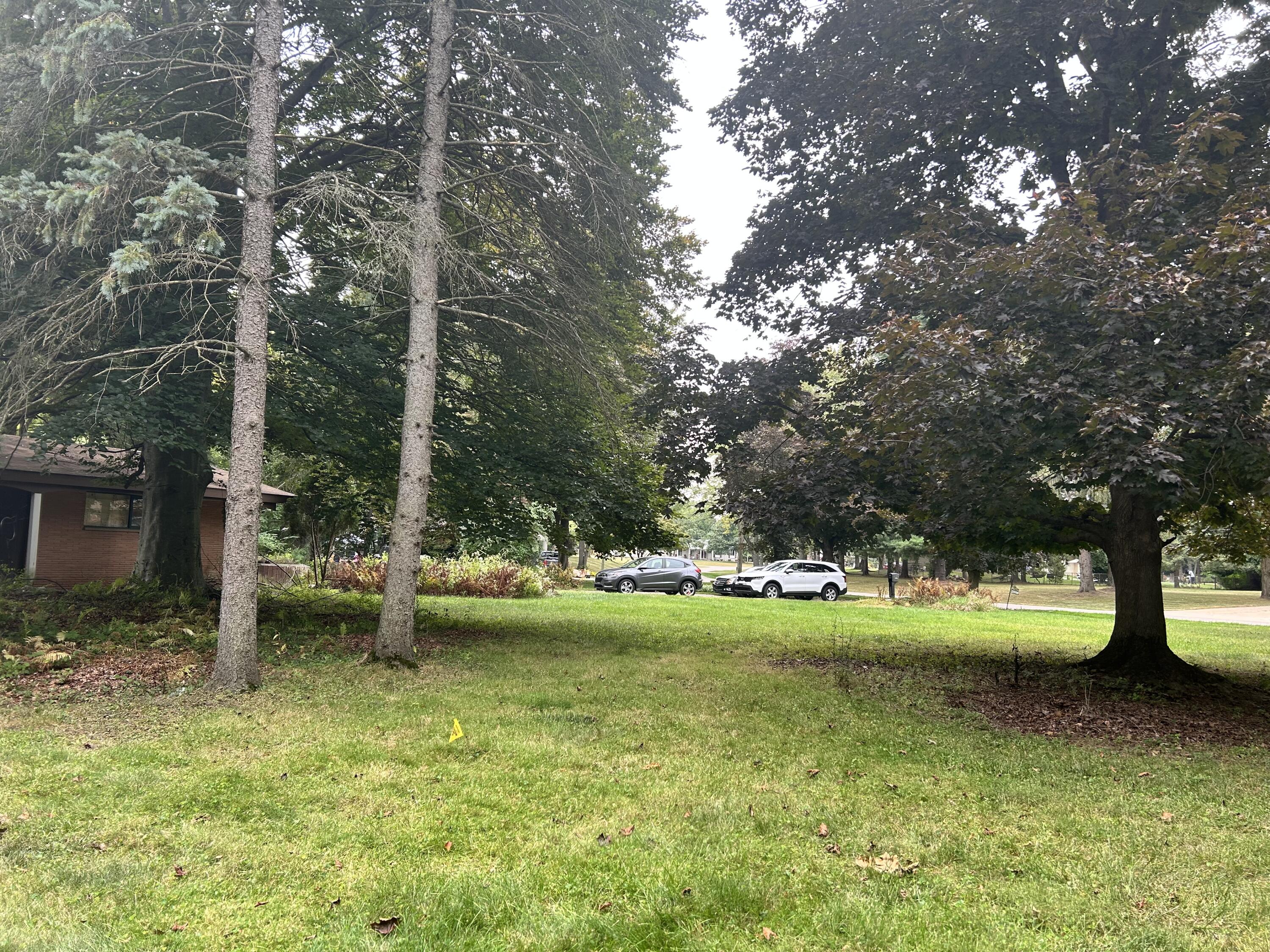 22900 Thorncliffe Street