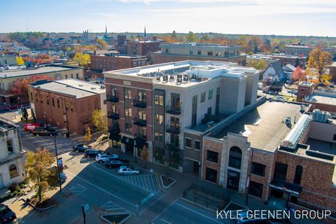 50 W 8th Street 403 Holland City MI 49423