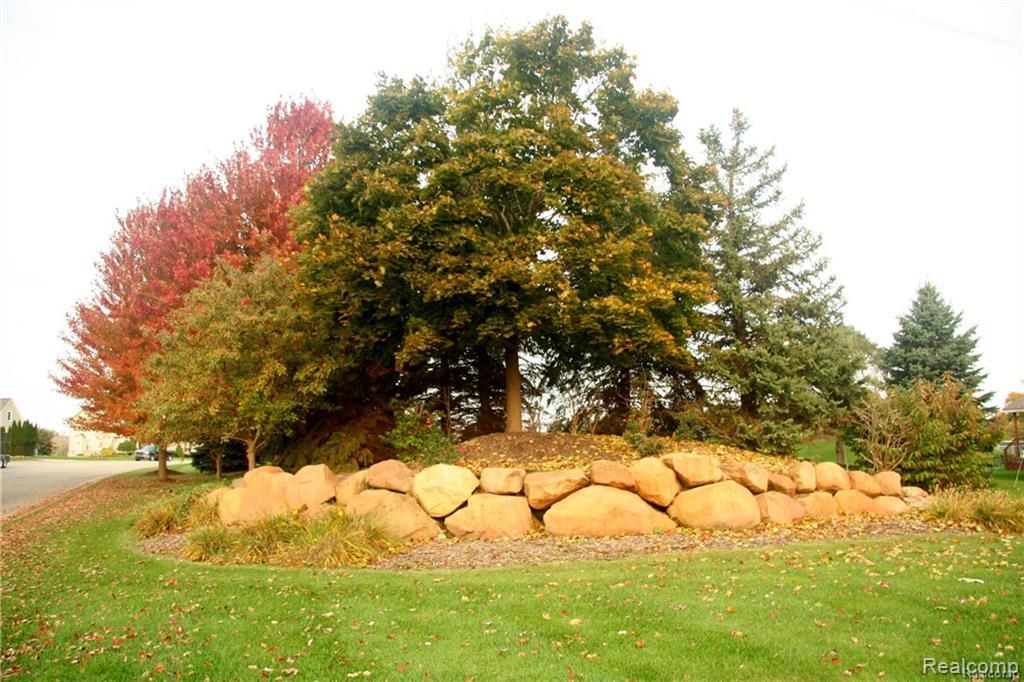20 Tipperary Trail