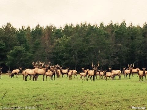 4681 STICKFORT Road Greenwood Township MI 49756