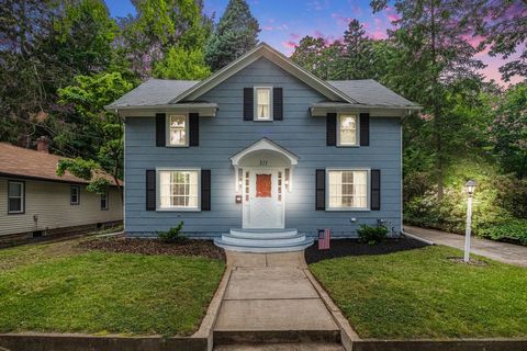 311 Moccasin Street Buchanan City MI 49107