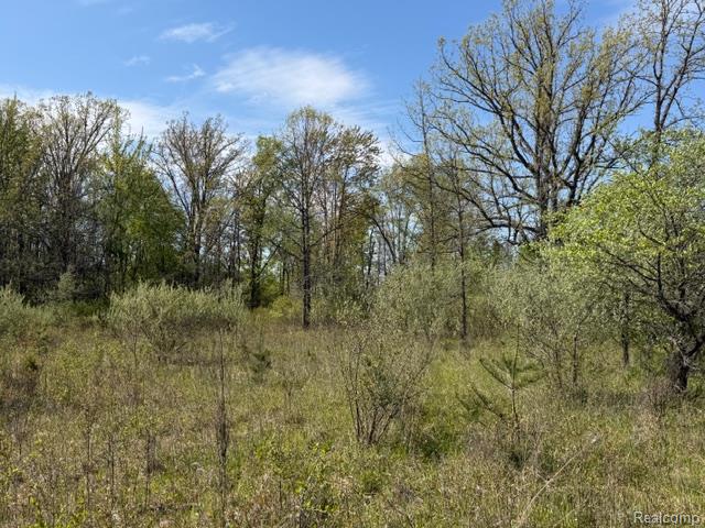 Parcel A & B Kelch Road
