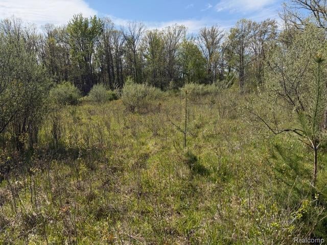 Parcel A & B Kelch Road