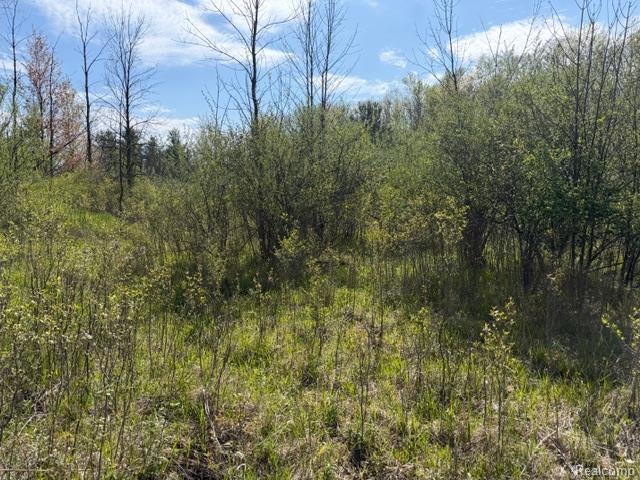 Parcel A & B Kelch Road