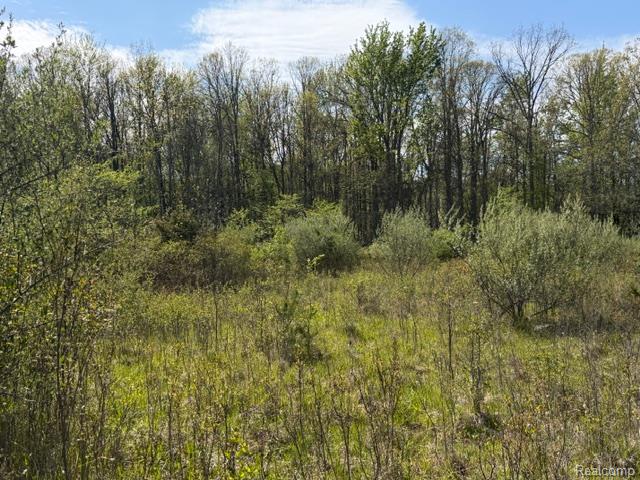 Parcel A & B Kelch Road