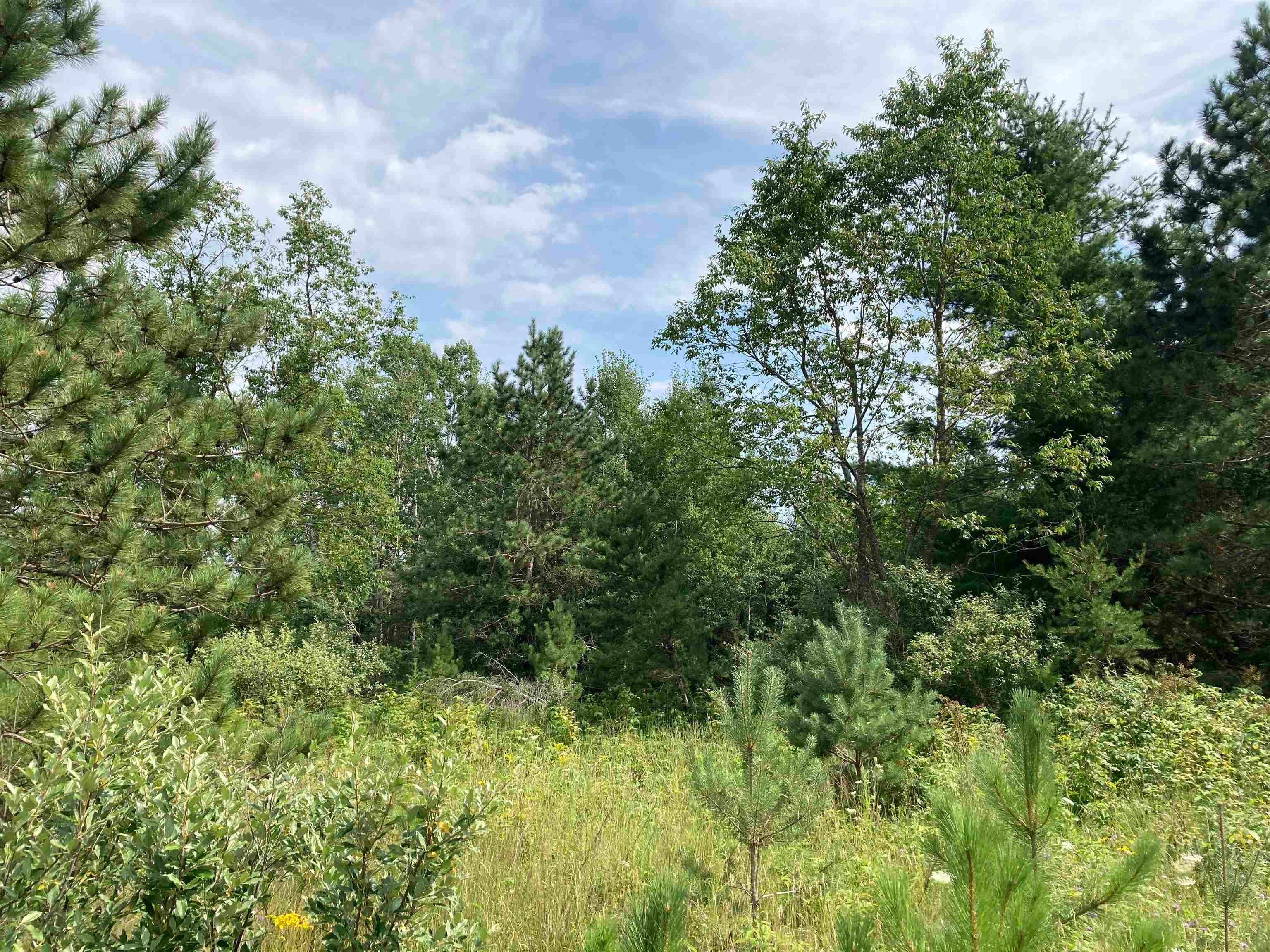 V/L-20A-M/L Mayhew Road
