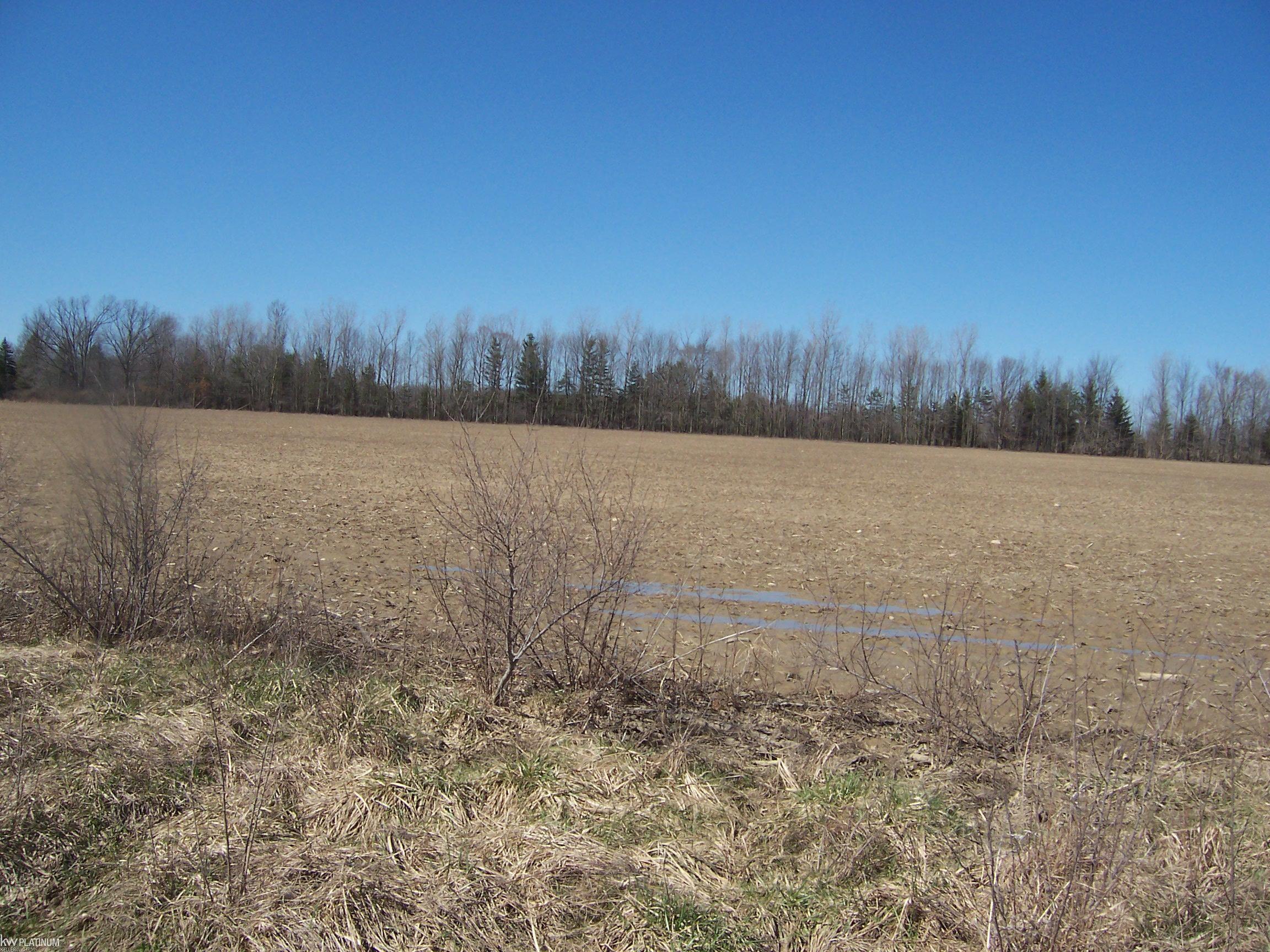 Lot 3 Beard Rd Road