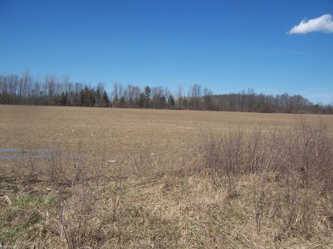 Lot 3 Beard Rd Road Kenockee Township MI 48006