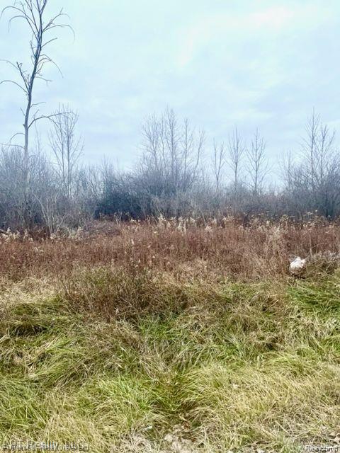 7152 5 mile rd