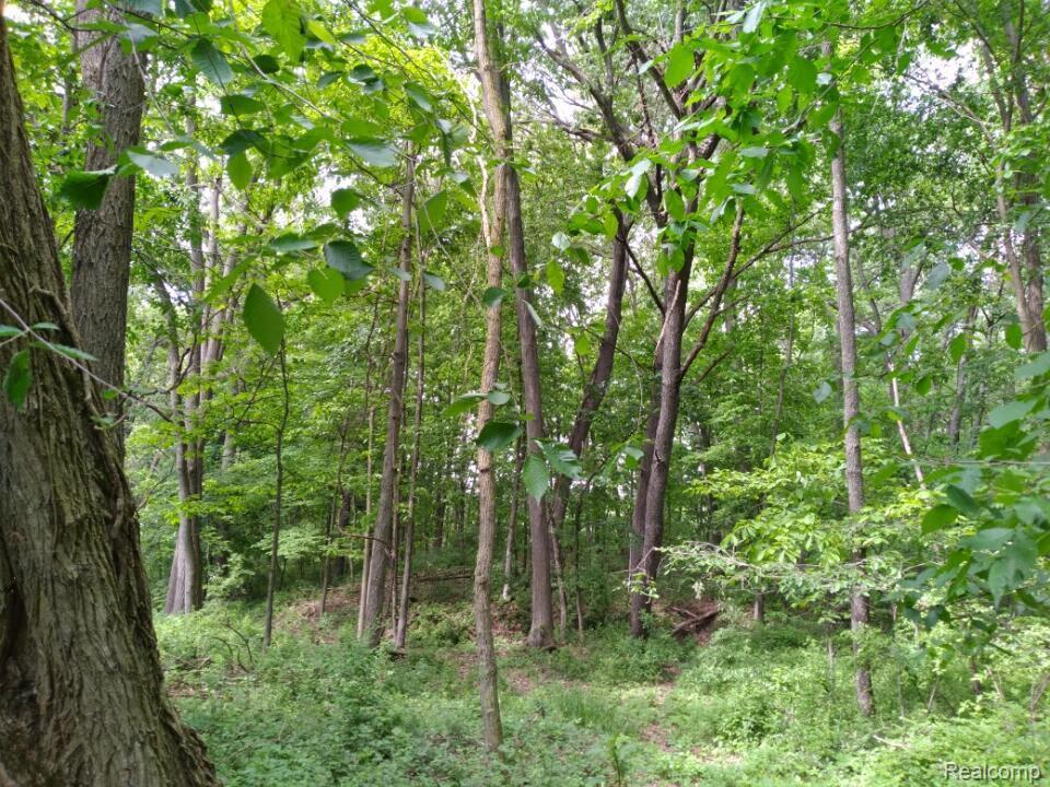 000 Rose Hill Rd