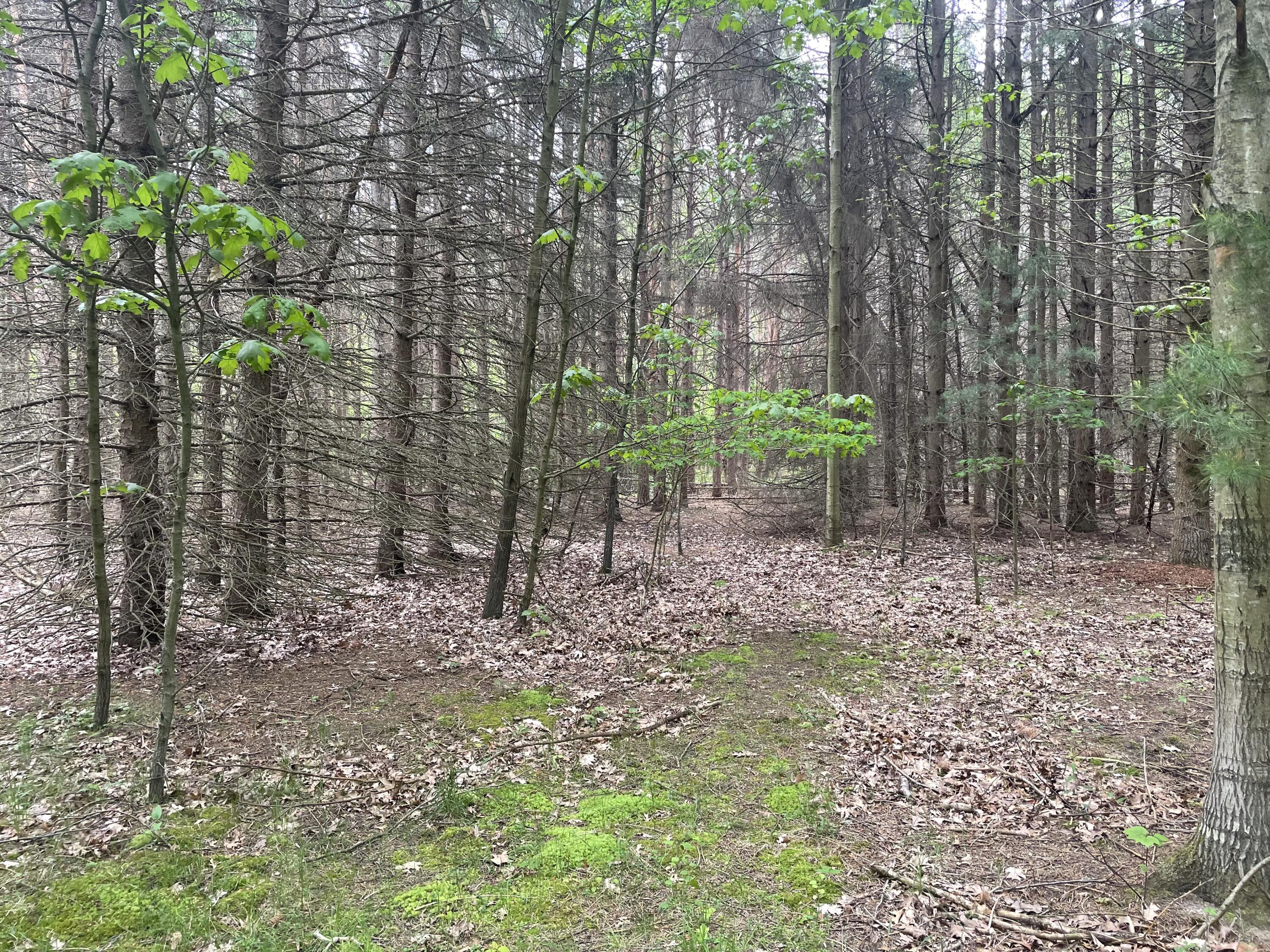 SILVER LAKE DR Drive