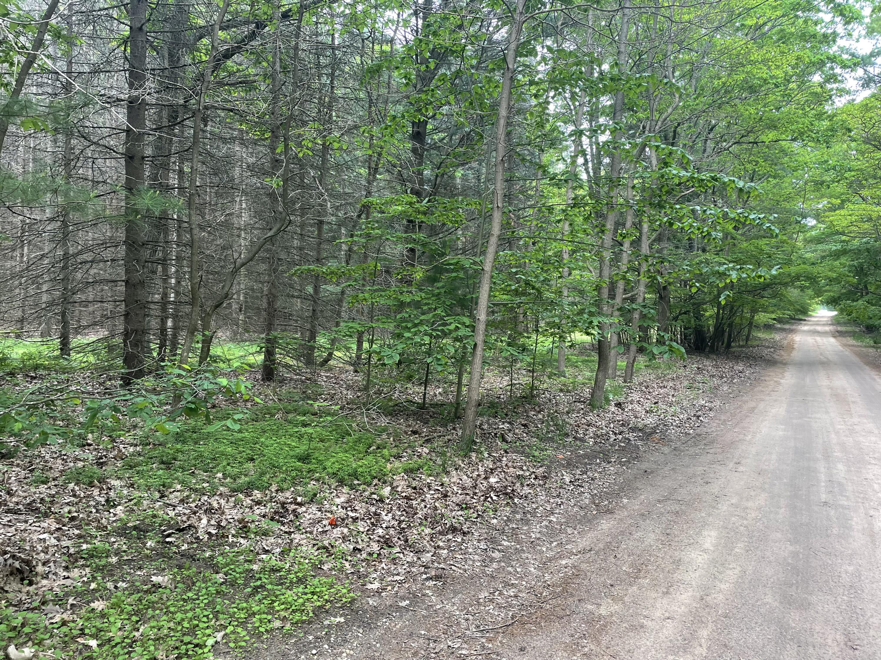 SILVER LAKE DR Drive