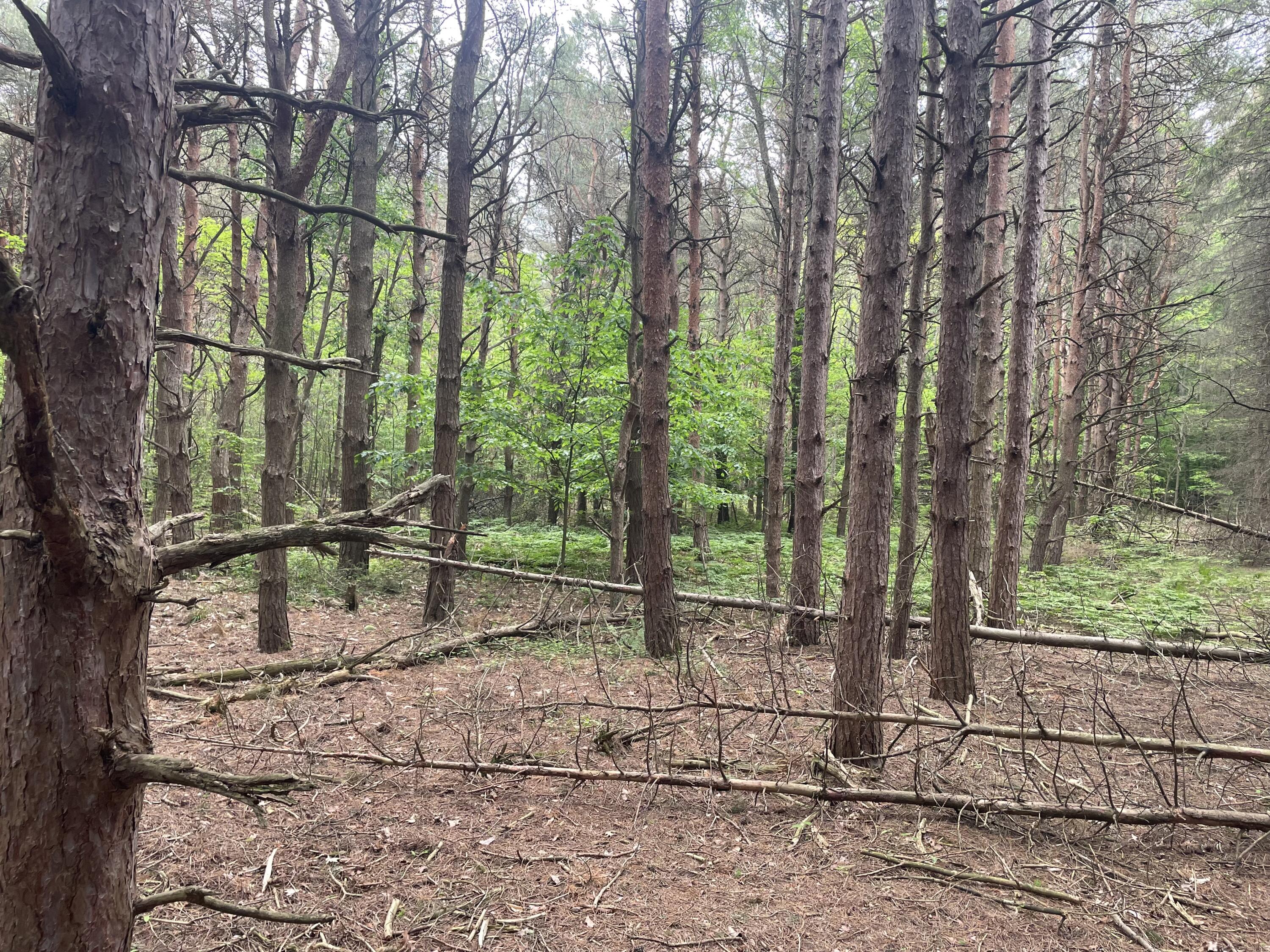 SILVER LAKE DR Drive