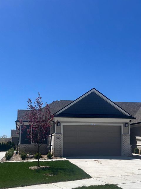 10551 Pickerel Lake Drive Brighton Township MI 48116