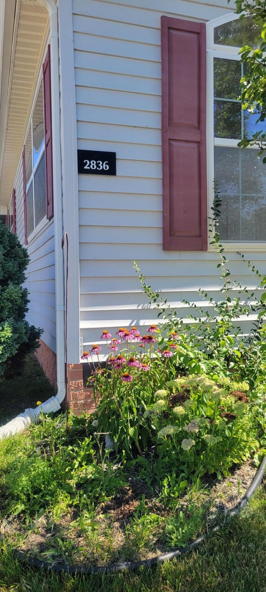 2836 Verona Drive