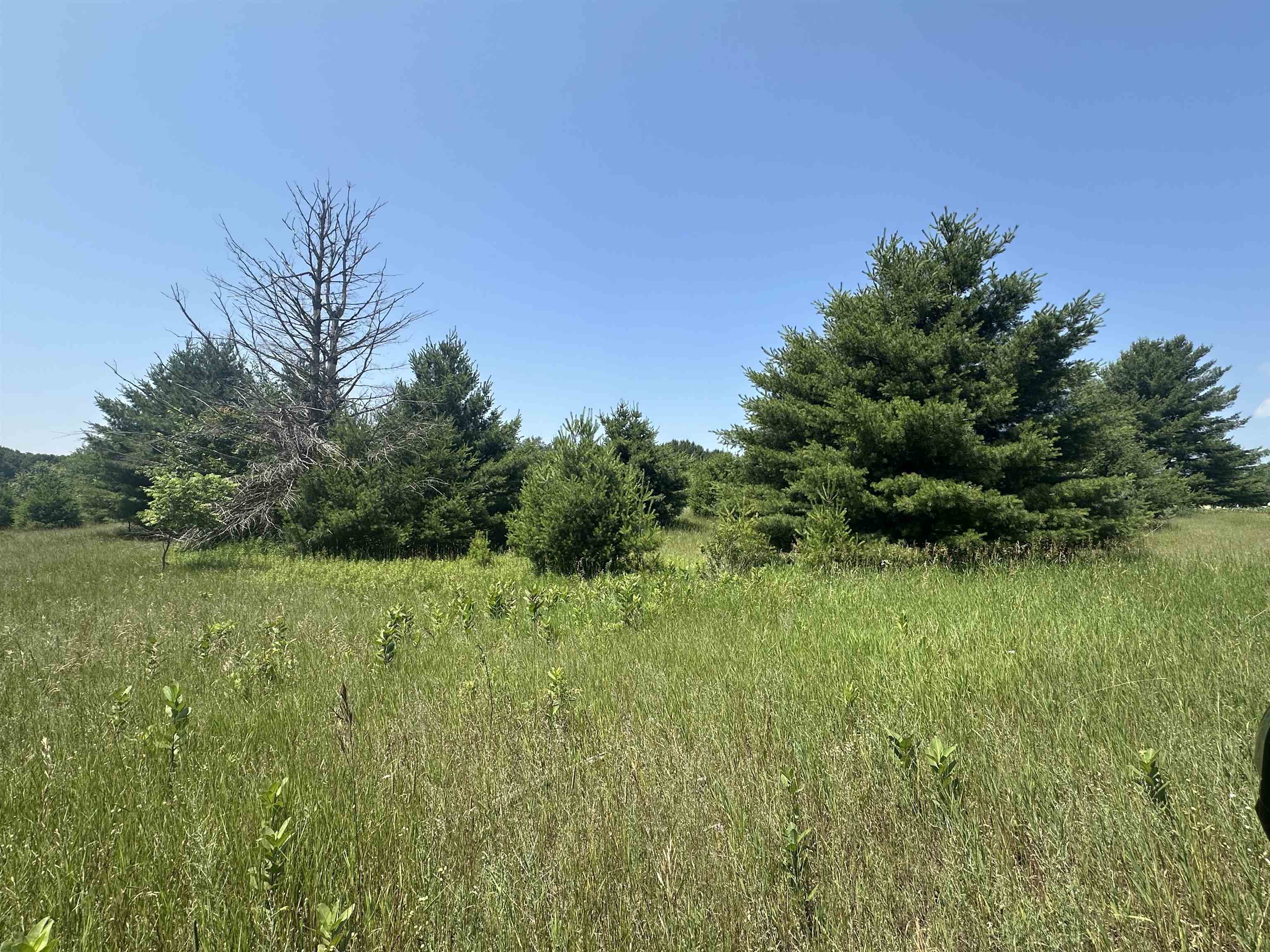 Parcel 4 Bright Road