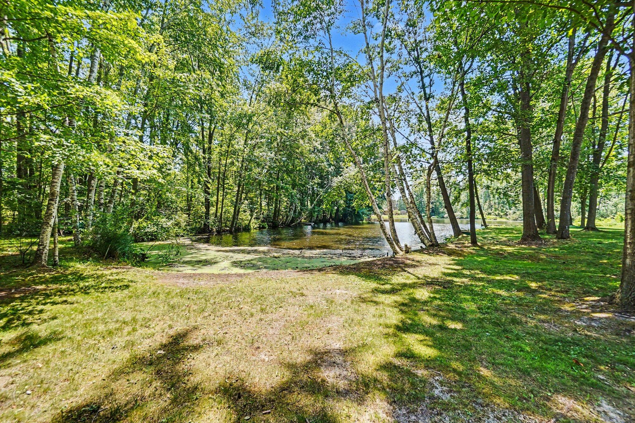 3768 Pine Tree Drive