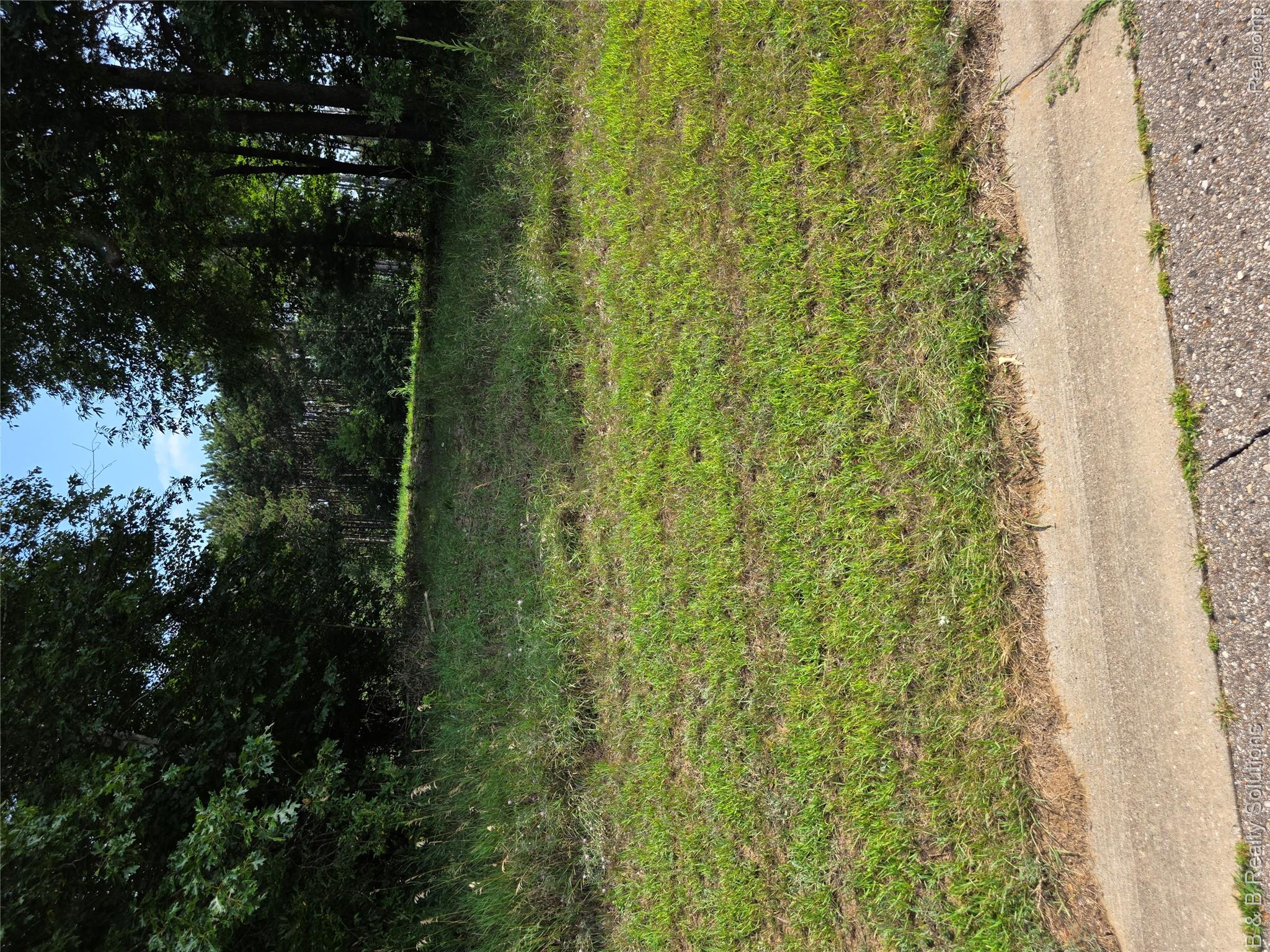 1441 Candace Drive